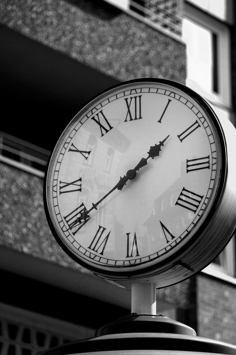 Timeless Elegance